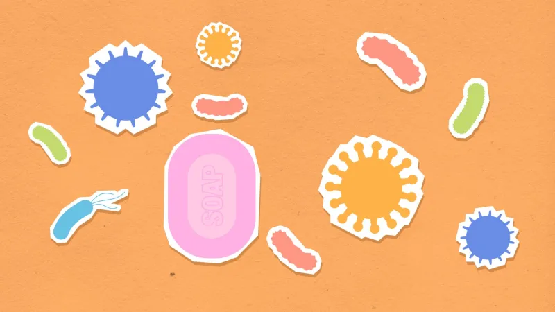 Tiny Organisms, Big Results: What Your Gut Bacteria Have to Do With How CBD Works